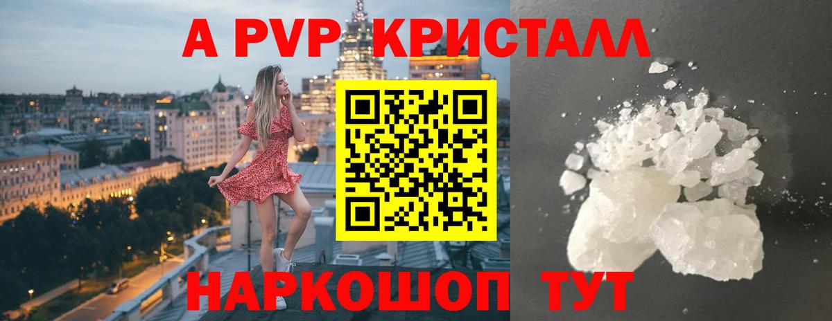 Alpha PVP СК КРИС Грозный