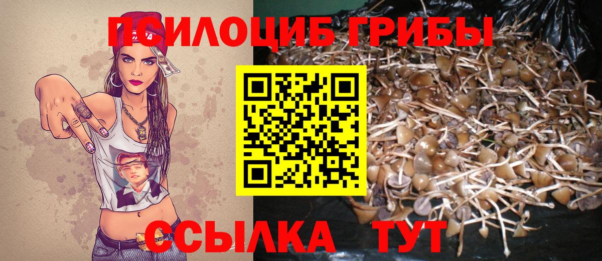 Галлюциногенные грибы мицелий  Вход с VPN  Псилоцибиновые грибы мицелий  Грозный 
